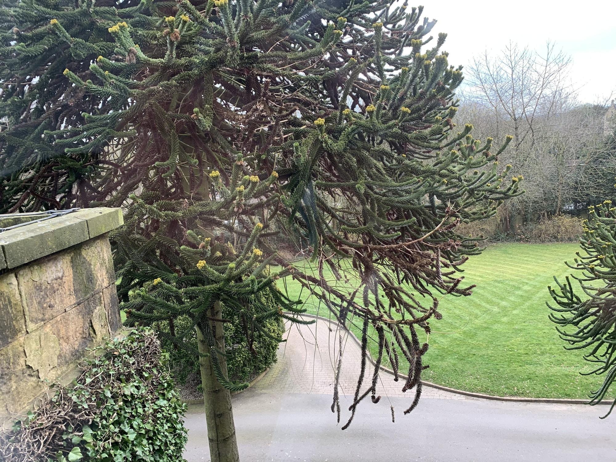 Best Western Plus Sheffield Mosborough Hall Hotel Exteriör bild